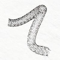 Protégé EverFlex Entrust